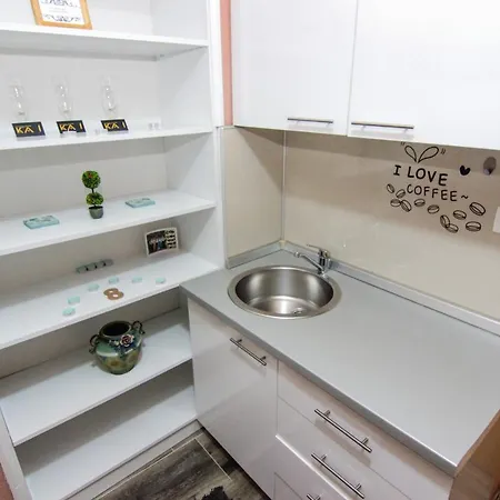 Kolodvorska Apartman 2 Inclusive Private Garage